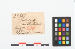Etikett zu Bernsteinringperle (NHMW-PRAE-025383)